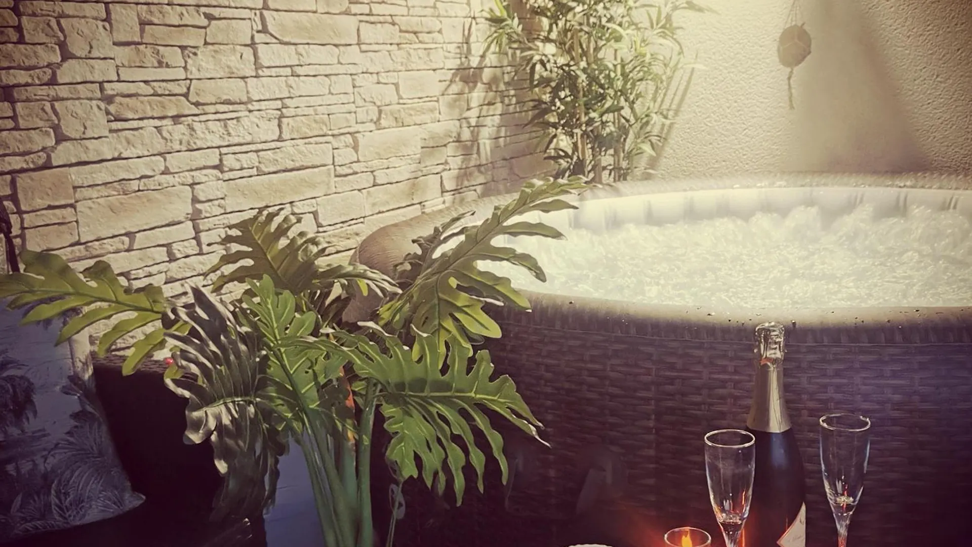 Guest house Logement Cosy Avec Piscine Et Jacuzzi Privatifs 4 Etoiles